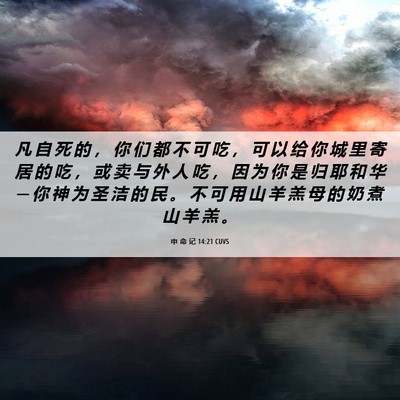 Picture 06 - 申 命 记 14:21 CUVS - 凡 自 死 的 ， 你 们 都 不 可 吃 ， - Bible Verse Picture