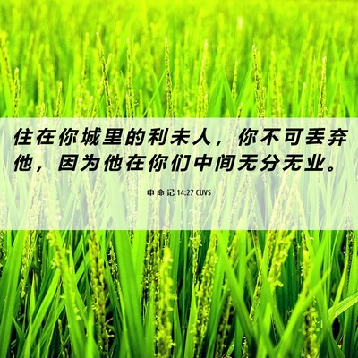Picture 06 - 申 命 记 14:27 CUVS - 住 在 你 城 里 的 利 未 人 ， 你 不 - Bible Verse Picture
