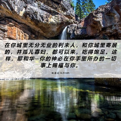 Picture 06 - 申 命 记 14:29 CUVS - 在 你 城 里 无 分 无 业 的 利 未 人 - Bible Verse Picture