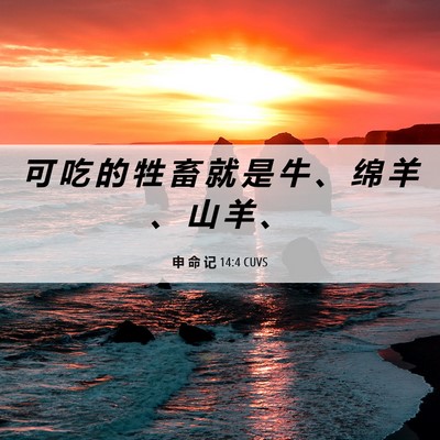 Picture 06 - 申 命 记 14:4 CUVS - 可 吃 的 牲 畜 就 是 牛 、 绵 羊 、 - Bible Verse Picture