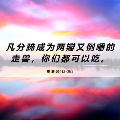 Picture 06 - 申 命 记 14:6 CUVS - 凡 分 蹄 成 为 两 瓣 又 倒 嚼 的 走 - Bible Verse Picture