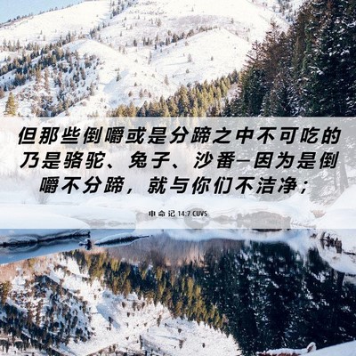 Picture 06 - 申 命 记 14:7 CUVS - 但 那 些 倒 嚼 或 是 分 蹄 之 中 不 - Bible Verse Picture