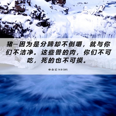 Picture 06 - 申 命 记 14:8 CUVS - 猪 ─ 因 为 是 分 蹄 却 不 倒 嚼 ， - Bible Verse Picture