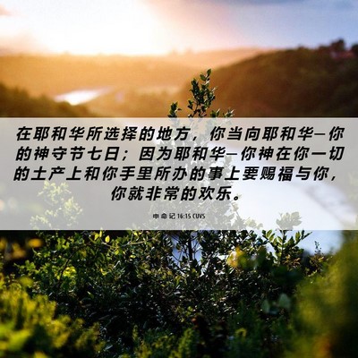Picture 06 - 申 命 记 16:15 CUVS - 在 耶 和 华 所 选 择 的 地 方 ， 你 - Bible Verse Picture
