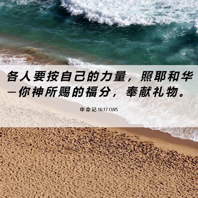 Picture 06 - 申 命 记 16:17 CUVS - 各 人 要 按 自 己 的 力 量 ， 照 耶 - Bible Verse Picture