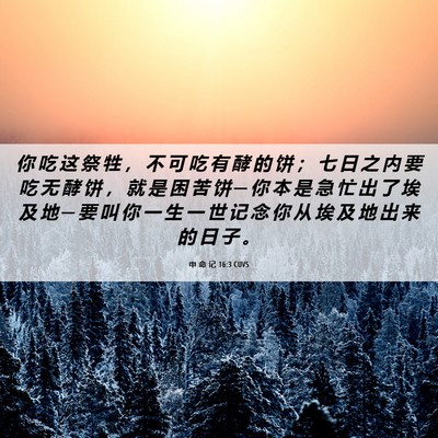 Picture 06 - 申 命 记 16:3 CUVS - 你 吃 这 祭 牲 ， 不 可 吃 有 酵 的 - Bible Verse Picture