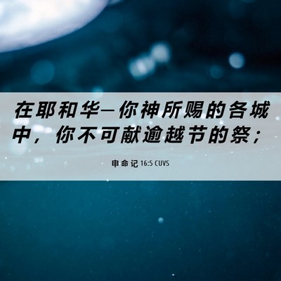Picture 06 - 申 命 记 16:5 CUVS - 在 耶 和 华 ─ 你 神 所 赐 的 各 城 - Bible Verse Picture