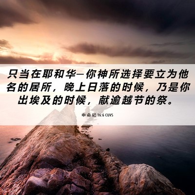 Picture 06 - 申 命 记 16:6 CUVS - 只 当 在 耶 和 华 ─ 你 神 所 选 择 - Bible Verse Picture