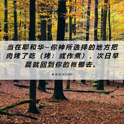 Picture 06 - 申 命 记 16:7 CUVS - 当 在 耶 和 华 ─ 你 神 所 选 择 的 - Bible Verse Picture