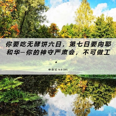 Picture 06 - 申 命 记 16:8 CUVS - 你 要 吃 无 酵 饼 六 日 ， 第 七 日 - Bible Verse Picture