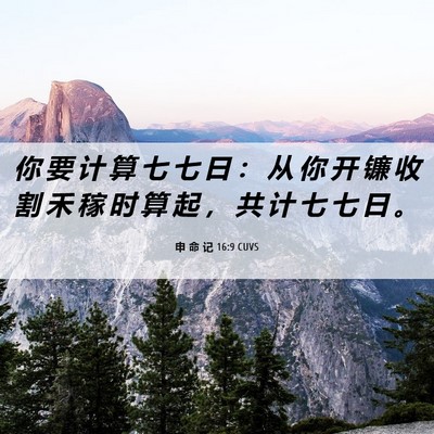 Picture 06 - 申 命 记 16:9 CUVS - 你 要 计 算 七 七 日 ： 从 你 开 镰 - Bible Verse Picture