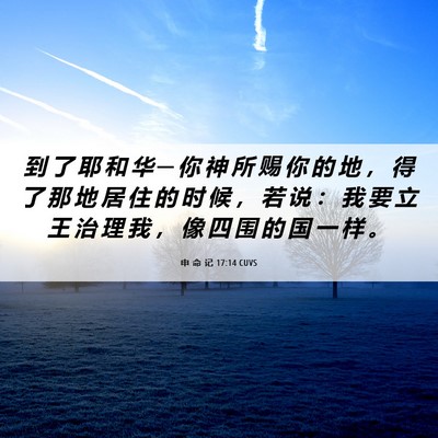 Picture 06 - 申 命 记 17:14 CUVS - 到 了 耶 和 华 ─ 你 神 所 赐 你 的 - Bible Verse Picture