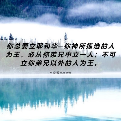 Picture 06 - 申 命 记 17:15 CUVS - 你 总 要 立 耶 和 华 ─ 你 神 所 拣 - Bible Verse Picture