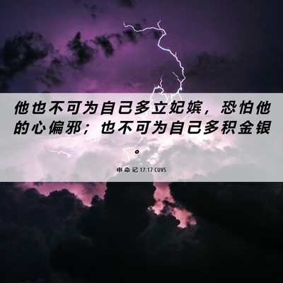Picture 06 - 申 命 记 17:17 CUVS - 他 也 不 可 为 自 己 多 立 妃 嫔 ， - Bible Verse Picture