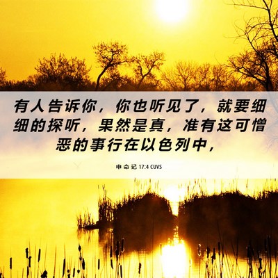 Picture 06 - 申 命 记 17:4 CUVS - 有 人 告 诉 你 ， 你 也 听 见 了 ， - Bible Verse Picture