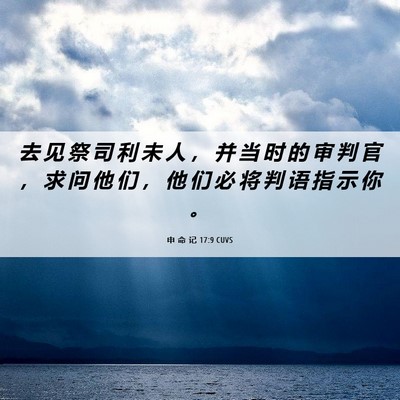 Picture 06 - 申 命 记 17:9 CUVS - 去 见 祭 司 利 未 人 ， 并 当 时 的 - Bible Verse Picture