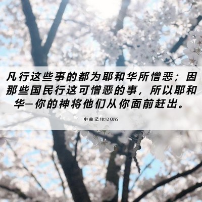 Picture 06 - 申 命 记 18:12 CUVS - 凡 行 这 些 事 的 都 为 耶 和 华 所 - Bible Verse Picture
