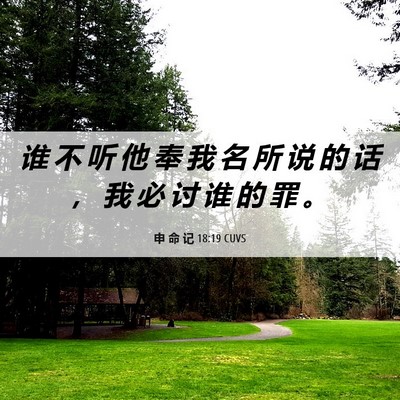 Picture 06 - 申 命 记 18:19 CUVS - 谁 不 听 他 奉 我 名 所 说 的 话 ， - Bible Verse Picture
