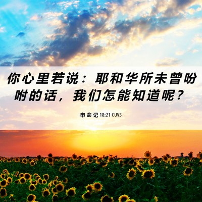 Picture 06 - 申 命 记 18:21 CUVS - 你 心 里 若 说 ： 耶 和 华 所 未 曾 - Bible Verse Picture