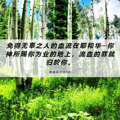 Picture 06 - 申 命 记 19:10 CUVS - 免 得 无 辜 之 人 的 血 流 在 耶 和 - Bible Verse Picture