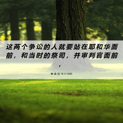 Picture 06 - 申 命 记 19:17 CUVS - 这 两 个 争 讼 的 人 就 要 站 在 耶 - Bible Verse Picture