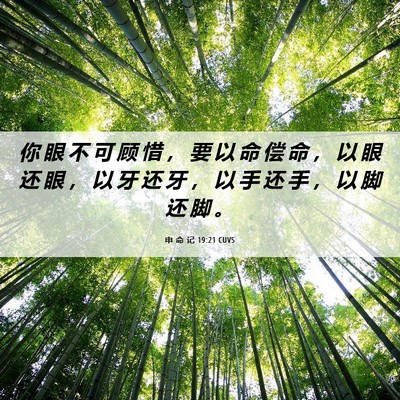 Picture 06 - 申 命 记 19:21 CUVS - 你 眼 不 可 顾 惜 ， 要 以 命 偿 命 - Bible Verse Picture