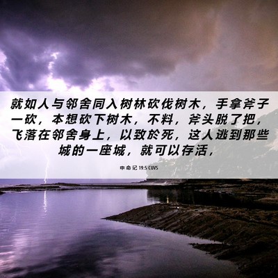 Picture 06 - 申 命 记 19:5 CUVS - 就 如 人 与 邻 舍 同 入 树 林 砍 伐 - Bible Verse Picture