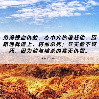 Picture 06 - 申 命 记 19:6 CUVS - 免 得 报 血 仇 的 ， 心 中 火 热 追 - Bible Verse Picture