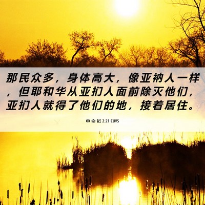 Picture 06 - 申 命 记 2:21 CUVS - 那 民 众 多 ， 身 体 高 大 ， 像 亚 - Bible Verse Picture