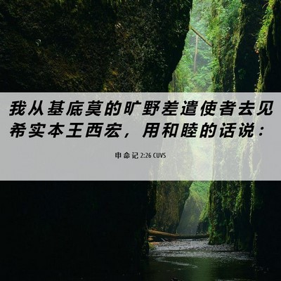 Picture 06 - 申 命 记 2:26 CUVS - 我 从 基 底 莫 的 旷 野 差 遣 使 者 - Bible Verse Picture