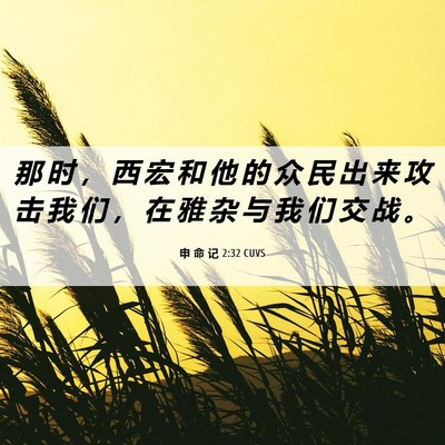 Picture 06 - 申 命 记 2:32 CUVS - 那 时 ， 西 宏 和 他 的 众 民 出 来 - Bible Verse Picture