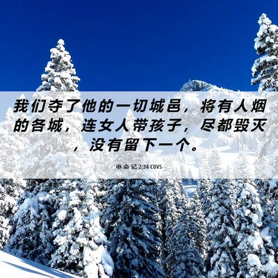 Picture 06 - 申 命 记 2:34 CUVS - 我 们 夺 了 他 的 一 切 城 邑 ， 将 - Bible Verse Picture