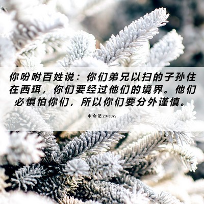 Picture 06 - 申 命 记 2:4 CUVS - 你 吩 咐 百 姓 说 ： 你 们 弟 兄 以 - Bible Verse Picture