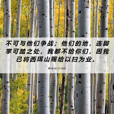 Picture 06 - 申 命 记 2:5 CUVS - 不 可 与 他 们 争 战 ； 他 们 的 地 - Bible Verse Picture