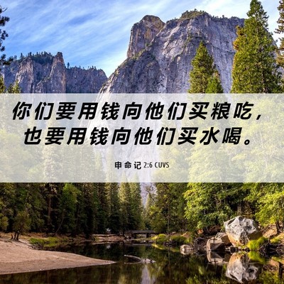 Picture 06 - 申 命 记 2:6 CUVS - 你 们 要 用 钱 向 他 们 买 粮 吃 ， - Bible Verse Picture