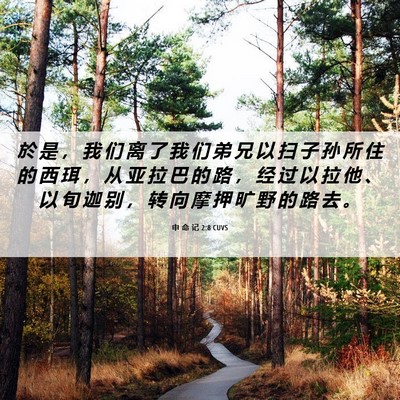 Picture 06 - 申 命 记 2:8 CUVS - 於 是 ， 我 们 离 了 我 们 弟 兄 以 - Bible Verse Picture
