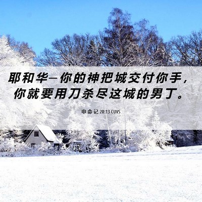 Picture 06 - 申 命 记 20:13 CUVS - 耶 和 华 ─ 你 的 神 把 城 交 付 你 - Bible Verse Picture