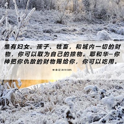 Picture 06 - 申 命 记 20:14 CUVS - 惟 有 妇 女 、 孩 子 、 牲 畜 ， 和 - Bible Verse Picture