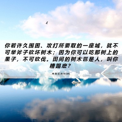Picture 06 - 申 命 记 20:19 CUVS - 你 若 许 久 围 困 、 攻 打 所 要 取 - Bible Verse Picture