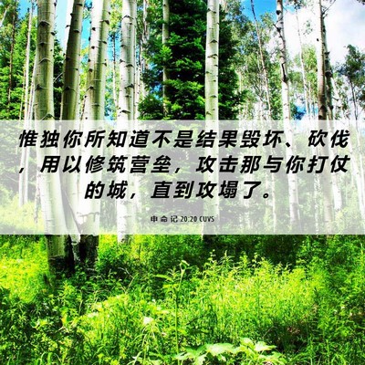 Picture 06 - 申 命 记 20:20 CUVS - 惟 独 你 所 知 道 不 是 结 果 毁 坏 - Bible Verse Picture