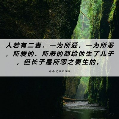 Picture 06 - 申 命 记 21:15 CUVS - 人 若 有 二 妻 ， 一 为 所 爱 ， 一 - Bible Verse Picture