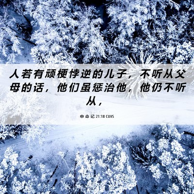 Picture 06 - 申 命 记 21:18 CUVS - 人 若 有 顽 梗 悖 逆 的 儿 子 ， 不 - Bible Verse Picture