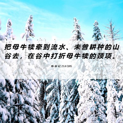 Picture 06 - 申 命 记 21:4 CUVS - 把 母 牛 犊 牵 到 流 水 、 未 曾 耕 - Bible Verse Picture