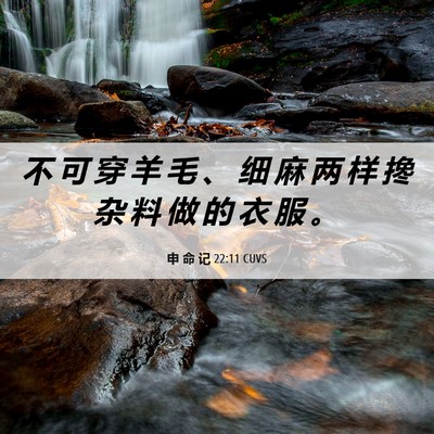Picture 06 - 申 命 记 22:11 CUVS - 不 可 穿 羊 毛 、 细 麻 两 样 搀 杂 - Bible Verse Picture