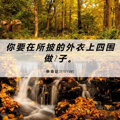 Picture 06 - 申 命 记 22:12 CUVS - 你 要 在 所 披 的 外 衣 上 四 围 做 ? - Bible Verse Picture