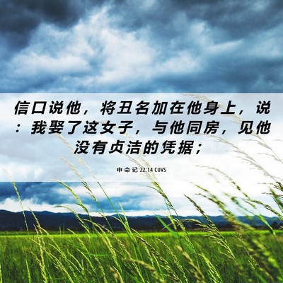 Picture 06 - 申 命 记 22:14 CUVS - 信 口 说 他 ， 将 丑 名 加 在 他 身 - Bible Verse Picture