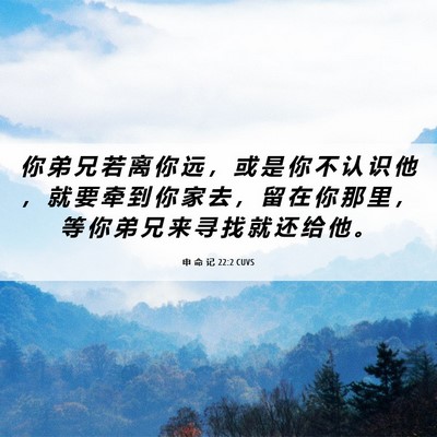 Picture 06 - 申 命 记 22:2 CUVS - 你 弟 兄 若 离 你 远 ， 或 是 你 不 - Bible Verse Picture
