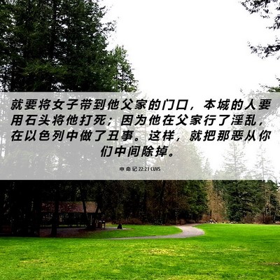 Picture 06 - 申 命 记 22:21 CUVS - 就 要 将 女 子 带 到 他 父 家 的 门 - Bible Verse Picture