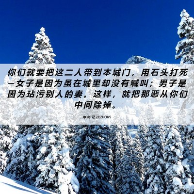 Picture 06 - 申 命 记 22:24 CUVS - 你 们 就 要 把 这 二 人 带 到 本 城 - Bible Verse Picture