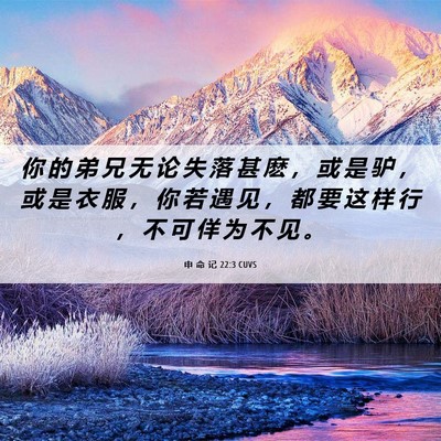 Picture 06 - 申 命 记 22:3 CUVS - 你 的 弟 兄 无 论 失 落 甚 麽 ， 或 - Bible Verse Picture